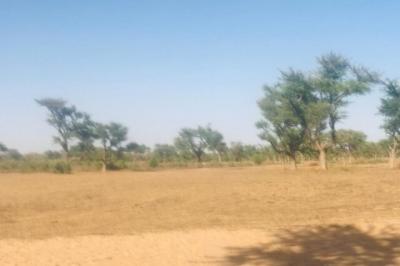 Terrain de 1,4 hectare Vers Notto Diobass