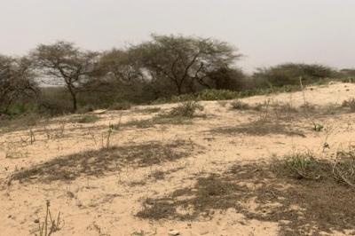 Terrain de 1,40 hectare vers Gandiol