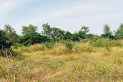 Terrain de 1,58 hectare vers Bambilor