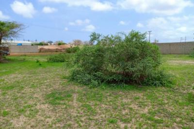 Terrain de 1,57 hectare vers Keur Moussa