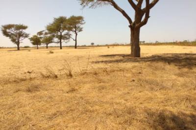 Terrain de 1,44 hectare à Tassette