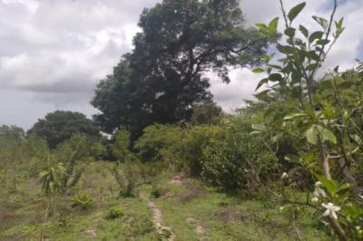 Terrain de 1,5 hectare vers Kataba 1