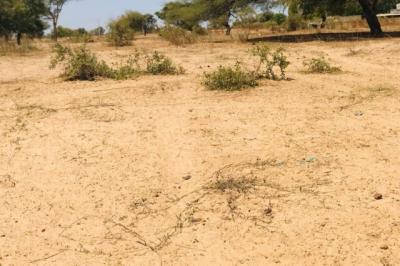 Terrain de 1,5 hectare Vers Ngoundiane