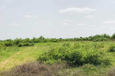 Terrain de 1,5 hectare vers Notto Diobass
