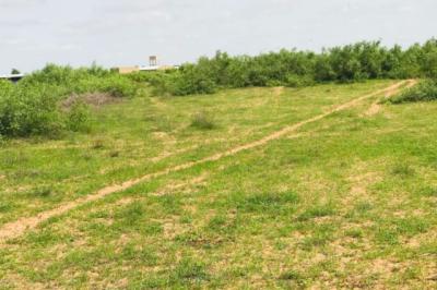 Terrain de 1,5 hectare vers Notto Diobass