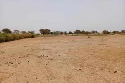 Terrain de 1,52 hectare vers Tassette