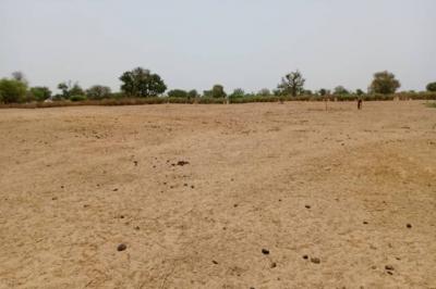 Terrain de 1,52 hectare vers Tassette
