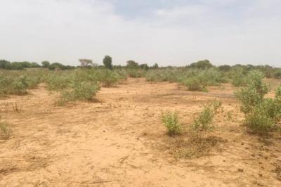 Terrain de 1,53 hectare vers Notto Diobass