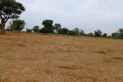 Terrain de 1,54 hectare vers Tassette