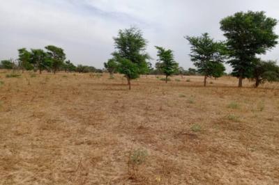 Terrain de 1,54 hectare vers Tassette