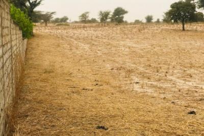 Terrain de 1,81 hectare vers Keur Samba Kane