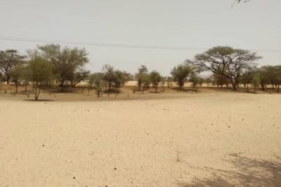 Terrain de 1,81 hectare vers Baba Garage