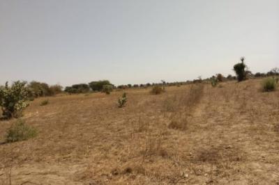 Terrain de 1,78 hectare vers Sandiara