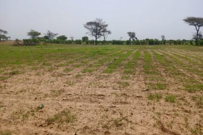 Terrain de 1,75 hectare vers Tassette