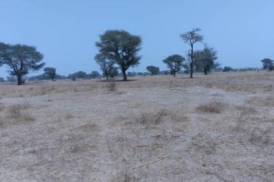 Terrain de 1,73 hectare vers Niakhar
