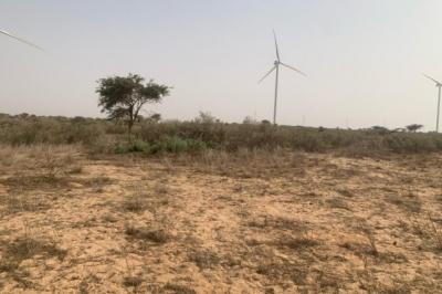 Terrain de 1,72 hectare vers Taiba Ndiaye