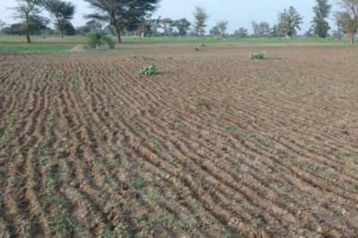 Terrain de 1,71 hectare vers Sandiara