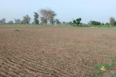 Terrain de 1,71 hectare vers Sandiara