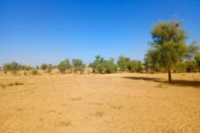Terrain de 1,71 hectare vers Mbadiane