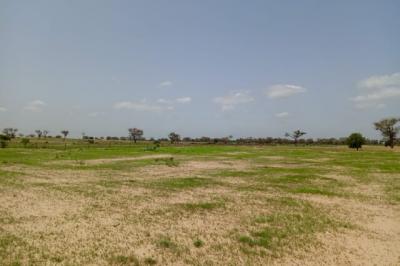 Terrain de 1,69 hectare vers Tassette