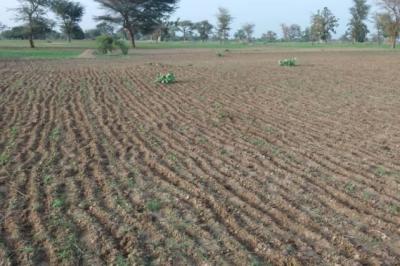 Terrain de 1,68 hectare vers Sandiara