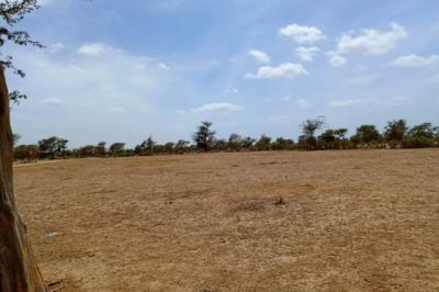 Terrain de 1,67 hectare vers Notto Diobass