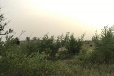 Terrain de 1,67 hectare vers Dalla Ngabou