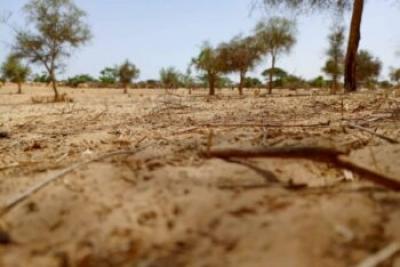 Terrain de 1,65 hectare vers Diokoul Diawrigne