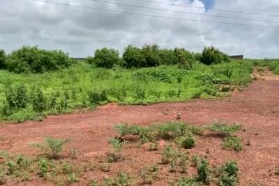 Terrain de 1,63 hectare vers Diass