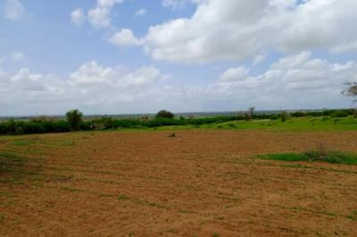 Terrain de 1,59 hectare vers Keur Moussa
