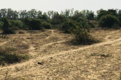 Terrain de 1,6 hectare vers Diender