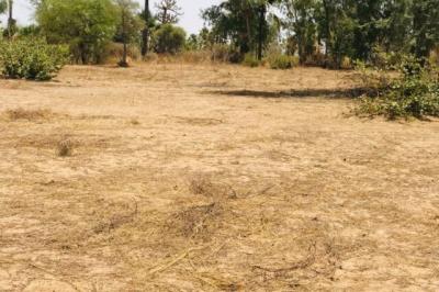 Terrain de 1,60 hectare vers Cherif Lô