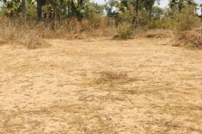 Terrain de 1,60 hectare vers Cherif Lô