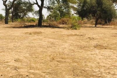 Terrain de 1,62 hectare vers Tassette