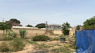 Terrains de 300 mètres carrés à vendre à Mbour