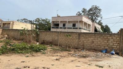 Terrains de 300 mètres carrés à vendre à Mbour