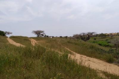 Terrain de 1,83 hectare vers Diokoul Diewrigne