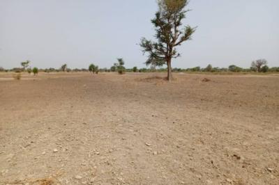 Terrain de 1,83 hectare vers Tassette