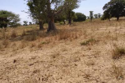 Terrain de 1,85 hectare vers Tassette
