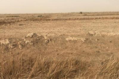 Terrain de 1,86 hectare vers Keur Moussa