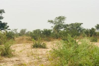Terrain de 1,87 hectare vers Méouane