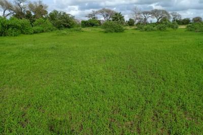 Terrain de 1,87 hectare vers Tassette