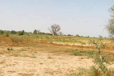 Terrain de 1,90 hectare vers Cherif Lô