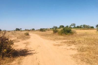 Terrain de 1,91 hectare vers Notto Diobass