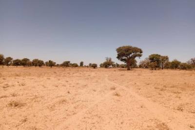Terrain de 1,91 hectare vers Tassette