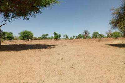 Terrain de 1,91 hectare vers Tassette