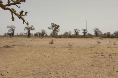 Terrain de 1,93 hectare vers Sindia