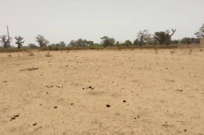 Terrain de 1,93 hectare vers Sindia