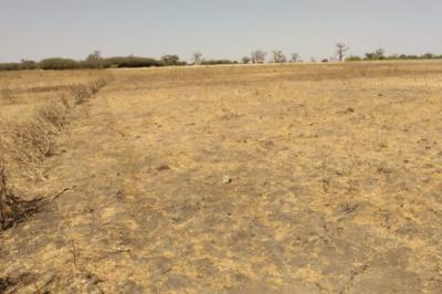 Terrain de 1,95 hectare vers Sandiara
