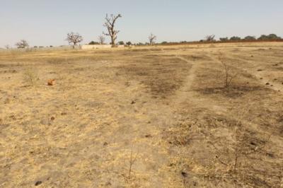 Terrain de 1,95 hectare vers Sandiara